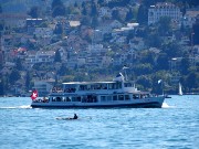 371  Lake Zurich.JPG